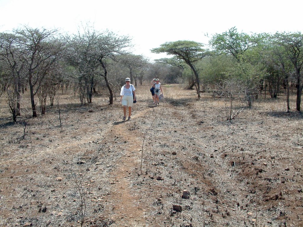 09-The bush at Nisala Safaries.jpg - The bush at Nisala Safaries
